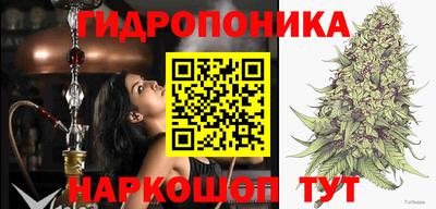 гидра Кинель